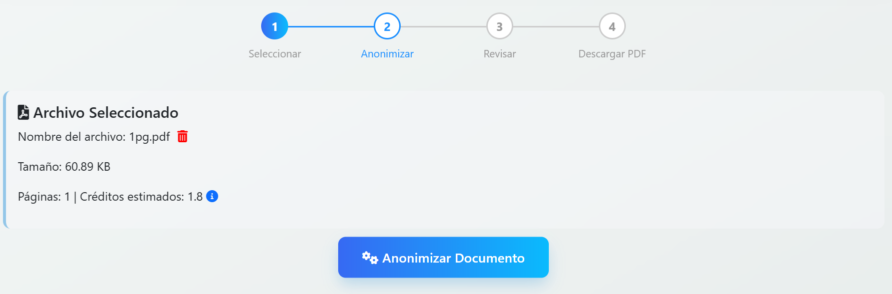 Pulsa en Anonimizar y espera unos segundos, o unos poco minutos si tiene muchas páginas.