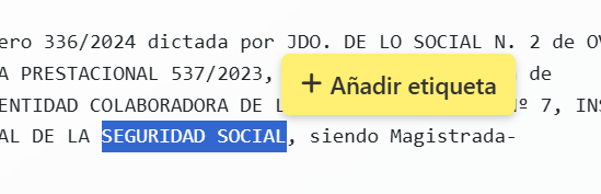 Revisa el resultado, añadiendo o quitando etiquetas según necesites (puedes apoyarte en la revisión automática por IA).